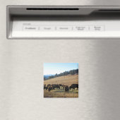 Bison in Colorado Magnet (In Situ (Geschirrspüler))
