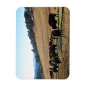 Bison in Colorado Magnet (Vertikal)