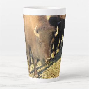Bison in Colorado Milchtasse