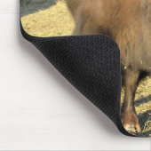 Bison in Colorado Mousepad (Ecke)