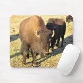 Bison in Colorado Mousepad (Mit Mouse)