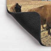 Bison in Colorado Mousepad (Ecke)