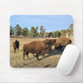 Bison in Colorado Mousepad (Mit Mouse)