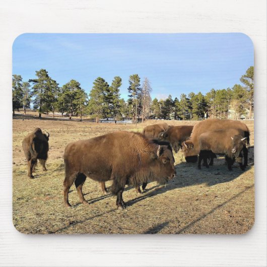Bison in Colorado Mousepad (Vorne)