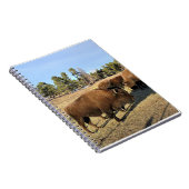 Bison in Colorado Notizblock (Rechte Seite)