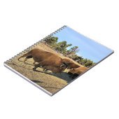 Bison in Colorado Notizblock (Linke Seite)
