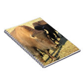 Bison in Colorado Notizblock (Rechte Seite)