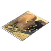 Bison in Colorado Notizblock (Linke Seite)