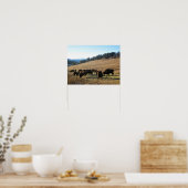 Bison in Colorado Poster (Küche)