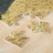 Bison in Colorado Puzzle (Seite)