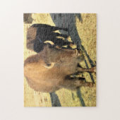 Bison in Colorado Puzzle (Vertikal)