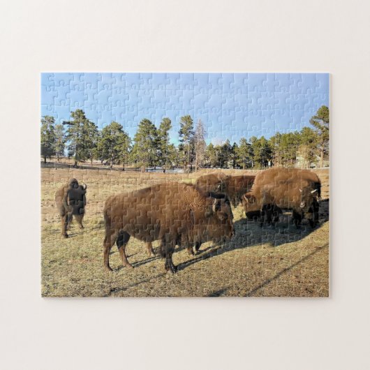 Bison in Colorado Puzzle (Horizontal)