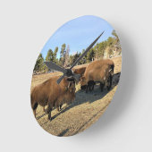 Bison in Colorado Runde Wanduhr (Winkel)
