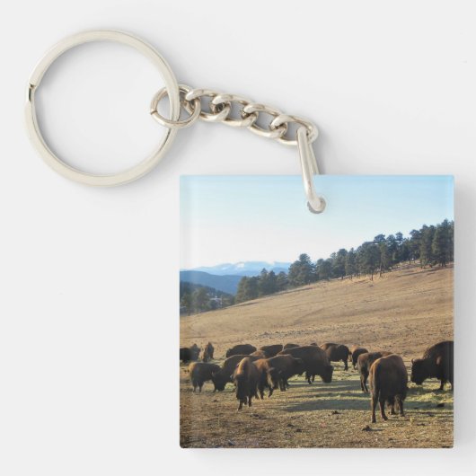 Bison in Colorado Schlüsselanhänger (Vorderseite)