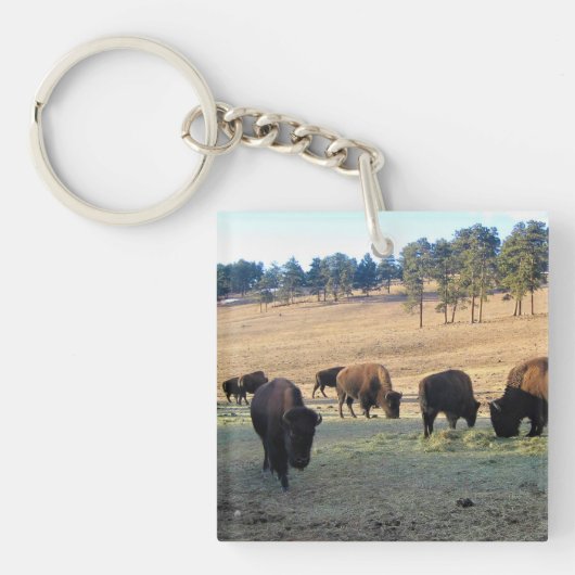 Bison in Colorado Schlüsselanhänger (Vorderseite)