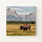Bison in den Tetons Notizblock (Rückseite)