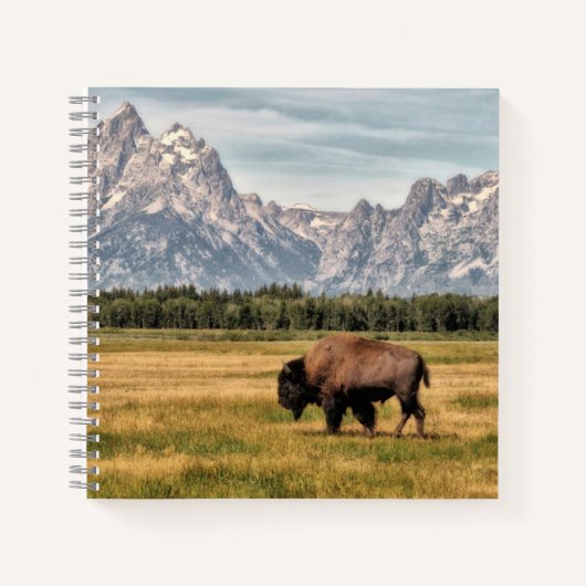 Bison in den Tetons Notizblock (Vorderseite)