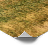 Bison in den Tetons Poster (Ecke)