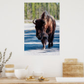 Bison in der Straße im Yellowstone-Nationalpark Poster (Küche)