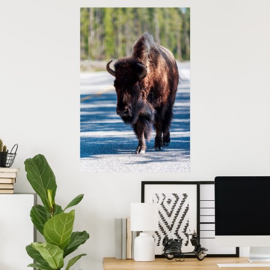 Bison in der Straße im Yellowstone-Nationalpark Poster (Heimbüro)