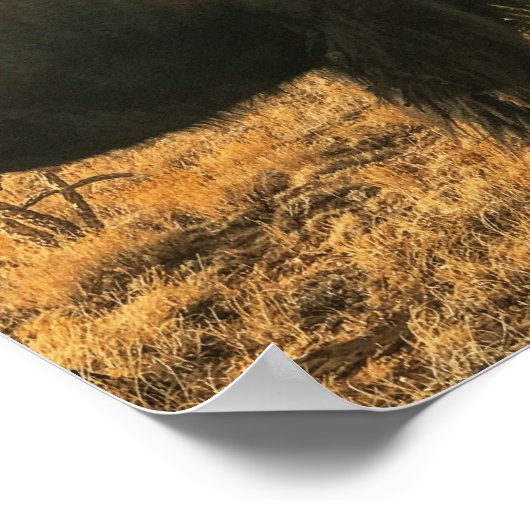 Bison in Foreground Mountains New Mexico Poster (Ecke)