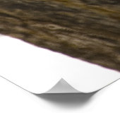 Bison in Lamar Valley Yellowstone Nationalpark Poster (Ecke)