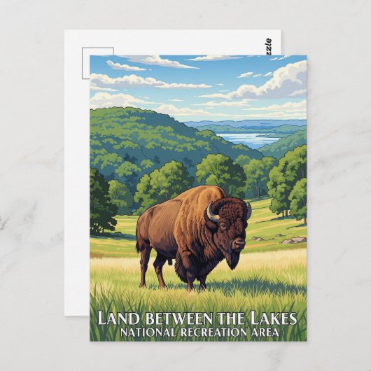 Bison in Land zwischen den Seen Kentucky Postkarte (Vorne/Hinten)