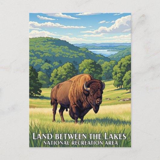 Bison in Land zwischen den Seen Kentucky Postkarte (Vorderseite)