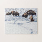 Bison in Snow Jigsaw Puzzle (Horizontal)