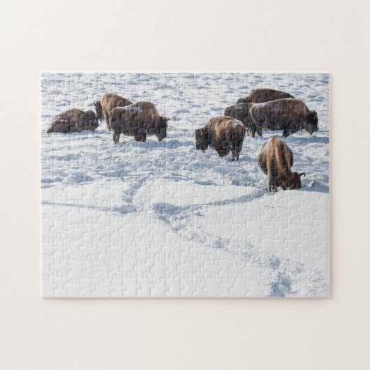 Bison in Snow Jigsaw Puzzle (Horizontal)