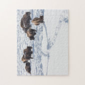 Bison in Snow Jigsaw Puzzle (Vertikal)