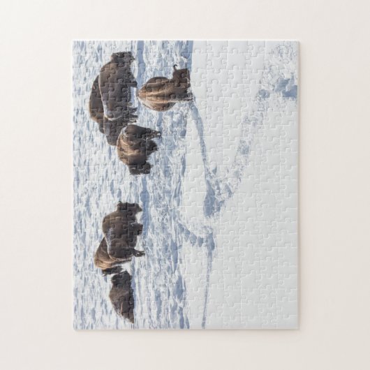 Bison in Snow Jigsaw Puzzle (Vertikal)