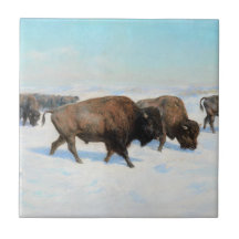 Bison in the Snow (von Rosa Bonheur)