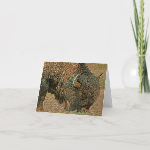 Bison in Wild - Leere Grußkarte Karte