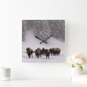 Bison in Winter Quadratische Wanduhr (Zuhause)