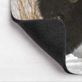 Bison in Winter-Yellowstone Nationalpark Mousepad (Ecke)