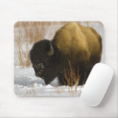 Bison in Winter-Yellowstone Nationalpark Mousepad (Mit Mouse)