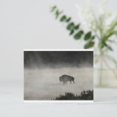 Bison in Winter Yellowstone Postkarte (Stehend Vorderseite)