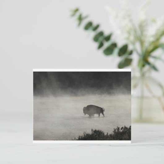 Bison in Winter Yellowstone Postkarte (Stehend Vorderseite)