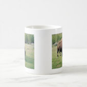 Bison in Yellowstone Kaffeetasse (Mittel)