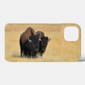 Bison in Yellowstone Nationalpark Case-Mate iPhone Hülle (Rückseite (Horizontal))