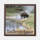 Bison in Yellowstone Nationalpark Magnet (Vorne)
