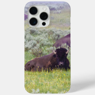 Bison iPhone 15 Pro Max Hülle