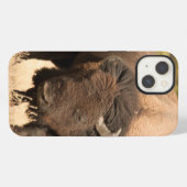 Bison iPhone Hülle (Rückseite (Horizontal))