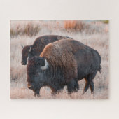 Bison Jigsaw Puzzle (Horizontal)