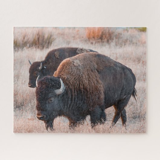 Bison Jigsaw Puzzle (Horizontal)