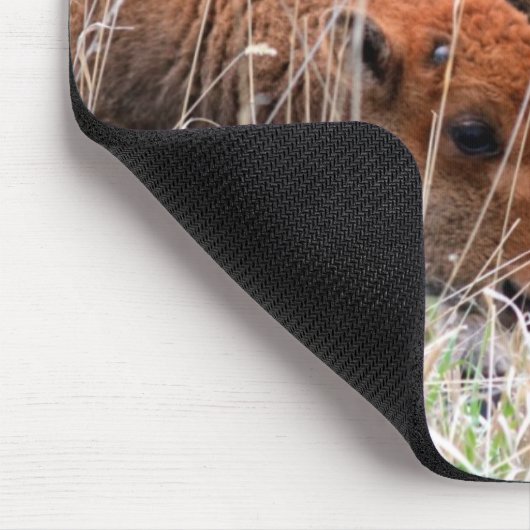 Bison-Kälber Mousepad (Ecke)
