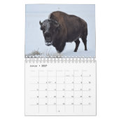 Bison Kalender (Jan 2027)