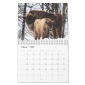 Bison Kalender (Feb 2027)