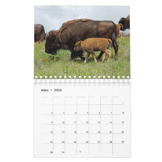 Bison Kalender (Mär 2026)